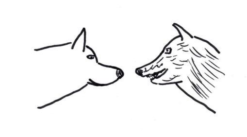 Die zwei Wölfe